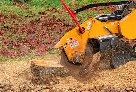 Leaf Removal in Delhi, CA