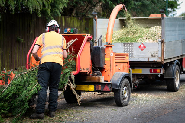 Best Lawn Fertilization  in Delhi, CA