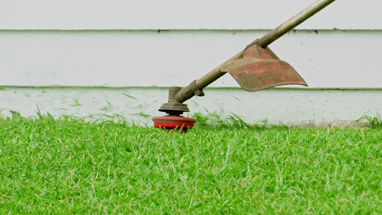 Best Tree Maintenance Programs  in Delhi, CA