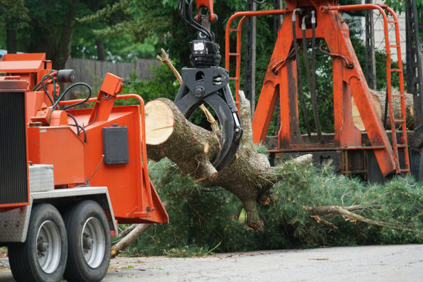 Best Lawn Grading and Leveling  in Delhi, CA