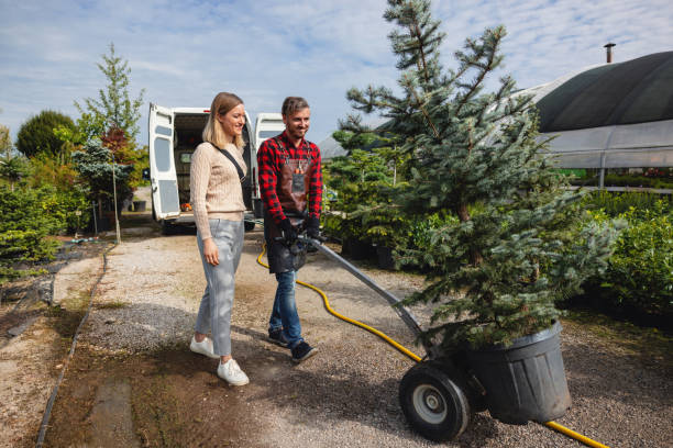 Best Tree Disease Treatment  in Delhi, CA